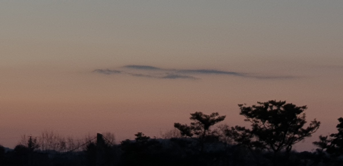 7b988ab4fe09a05d02643ddcc9b8e041_1547726256_3864.jpg